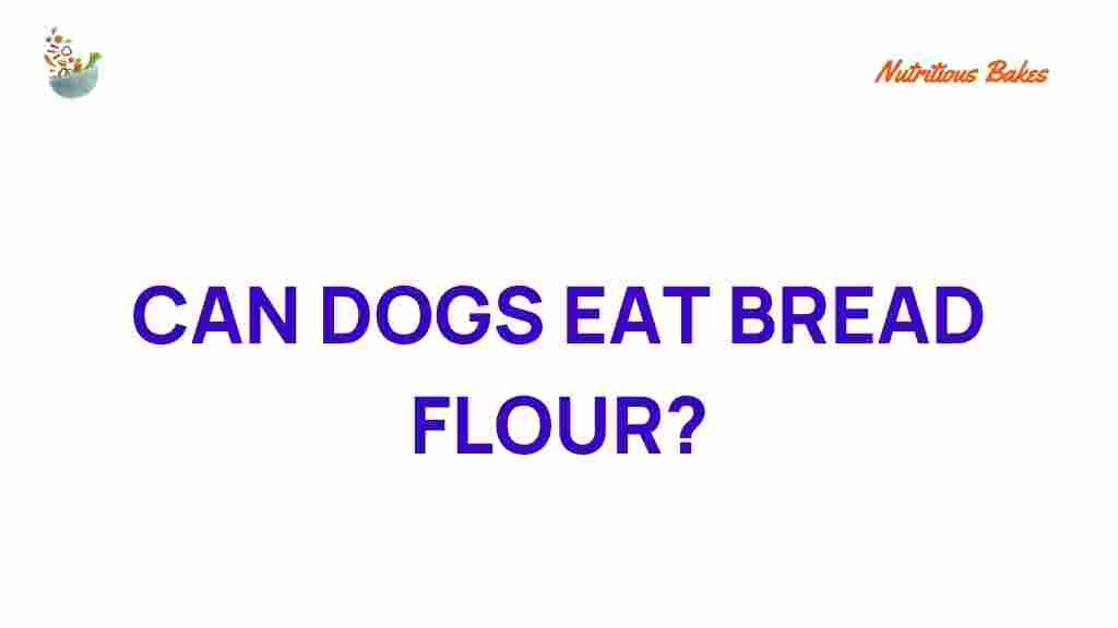 can-dogs-eat-bread-flour