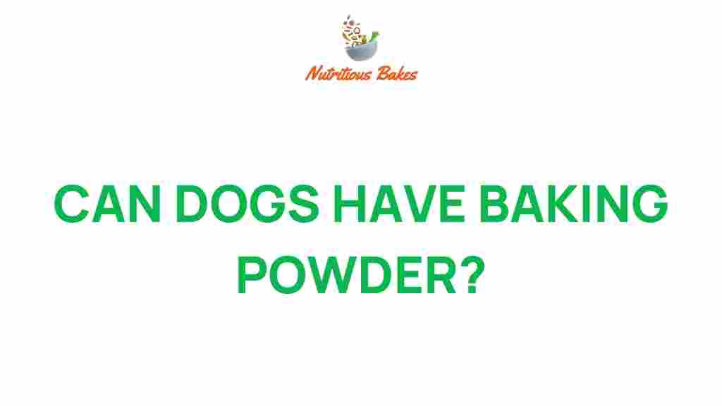 can-dogs-have-baking-powder
