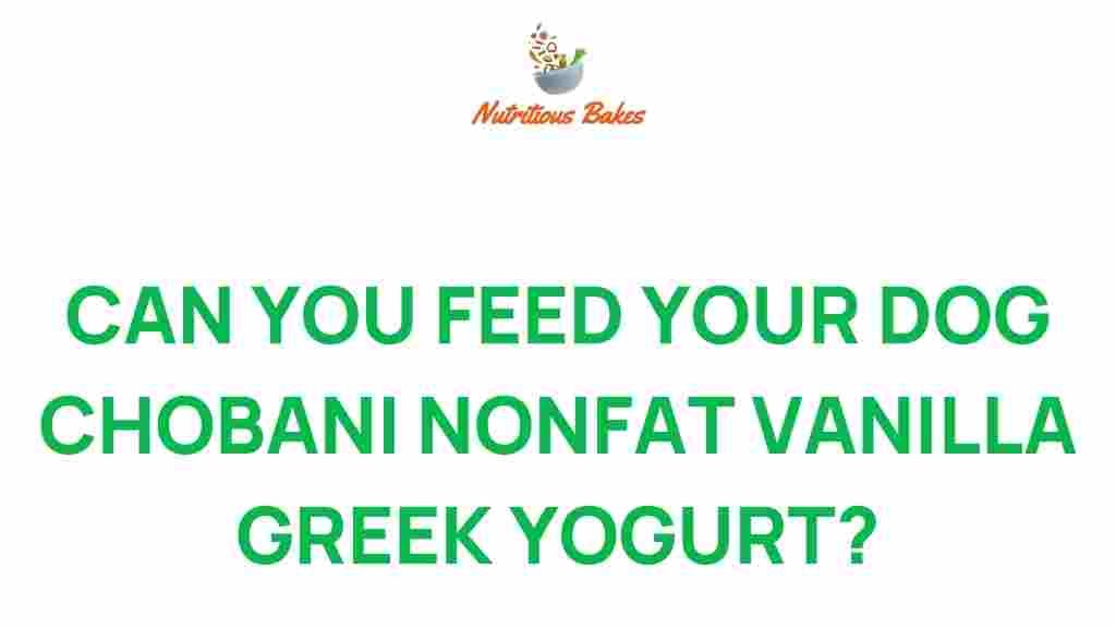 can-dogs-eat-chobani-nonfat-vanilla-yogurt