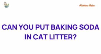 The Surprising Benefits of Baking Soda in Cat Litter