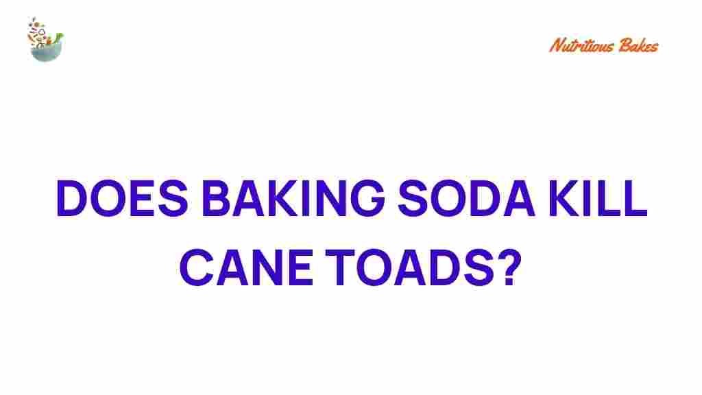 baking-soda-kill-cane-toads