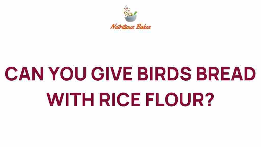 can-you-feed-birds-bread-rice-flour