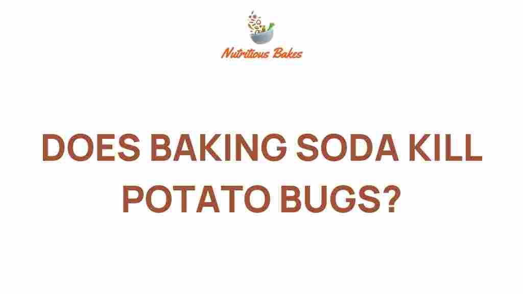 baking-soda-kill-potato-bugs