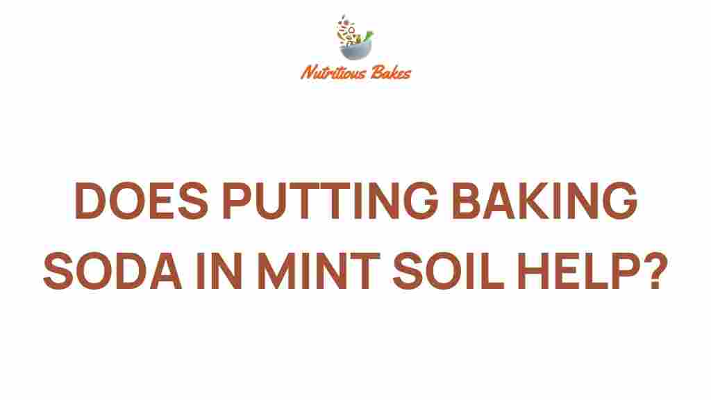 baking-soda-mint-soil-help