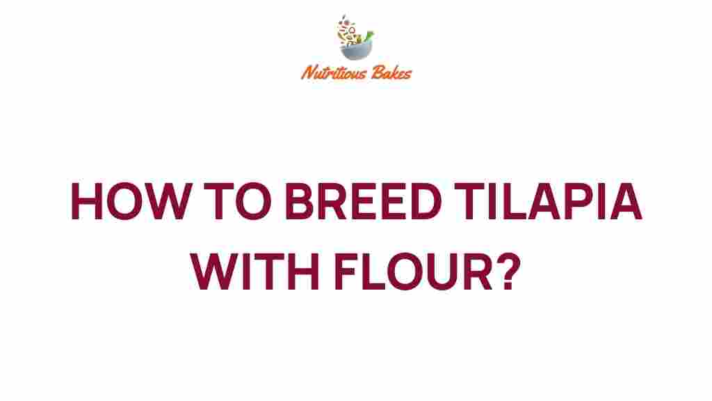 tilapia-breeding-flour