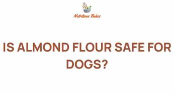 Is Almond Flour Safe for Dogs? Unpacking the Truth Behind Canine Nutrition
