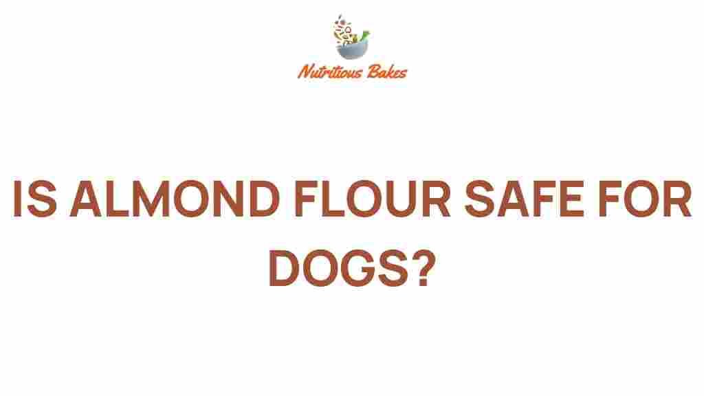 almond-flour-safe-for-dogs