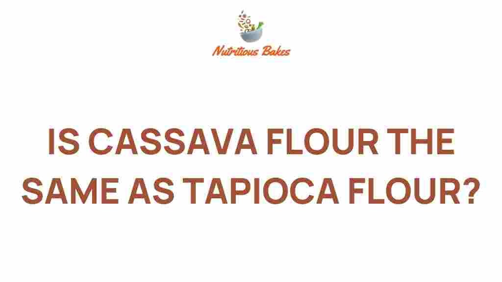 cassava-flour-vs-tapioca-flour