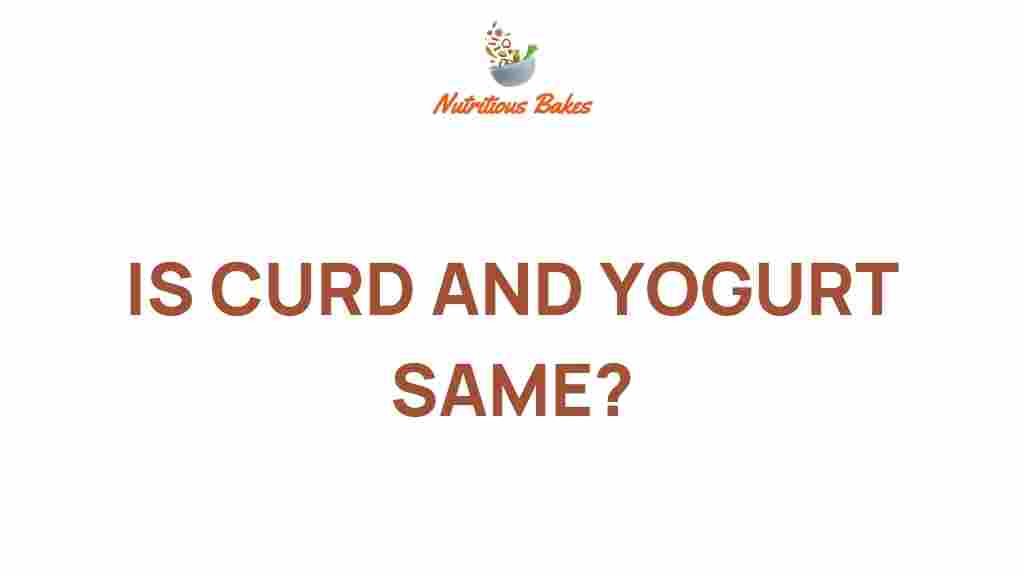 curd-and-yogurt-same