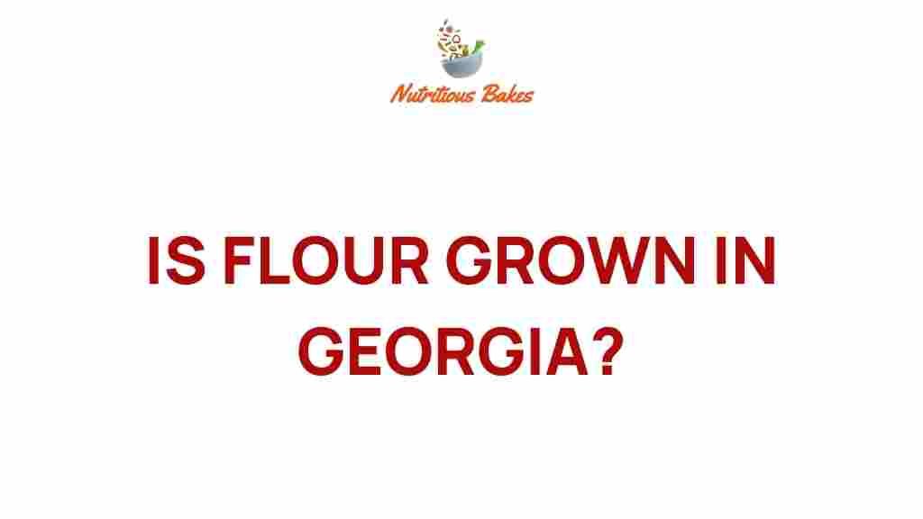 uncovering-flour-grown-in-georgia