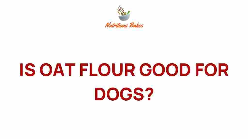 oat-flour-good-for-dogs
