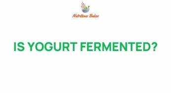 The Fermentation Secret: Is Yogurt Truly Fermented?