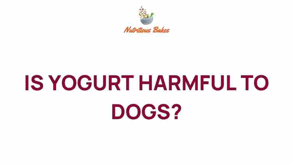 yogurt-harmful-to-dogs