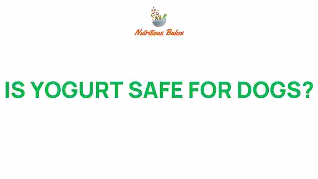 yogurt-safe-for-dogs