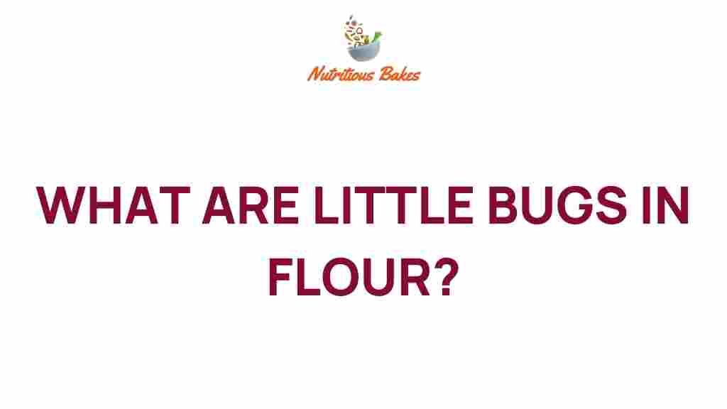 what-are-little-bugs-in-flour